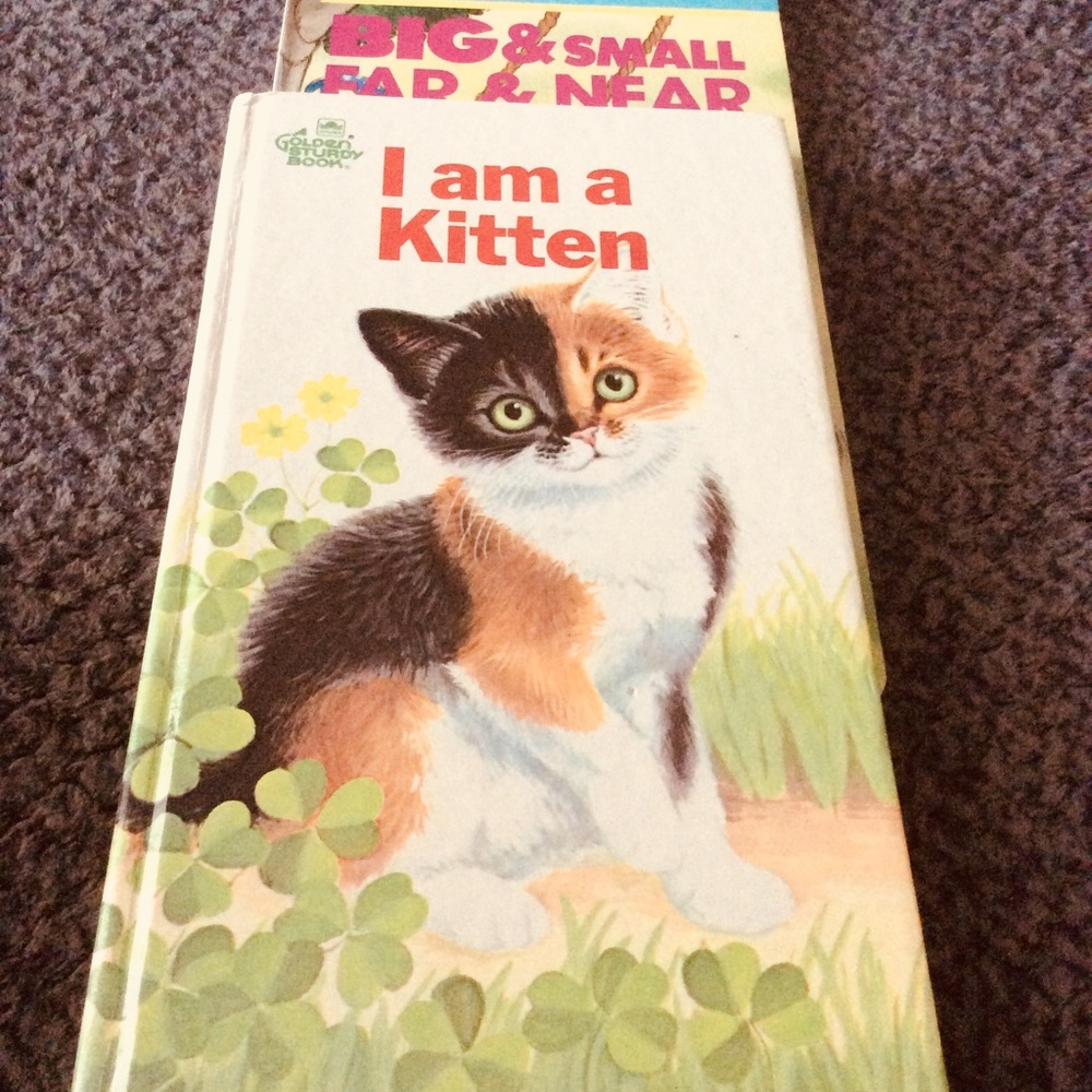 2 wonderful Kids book Big and small I am a kitten